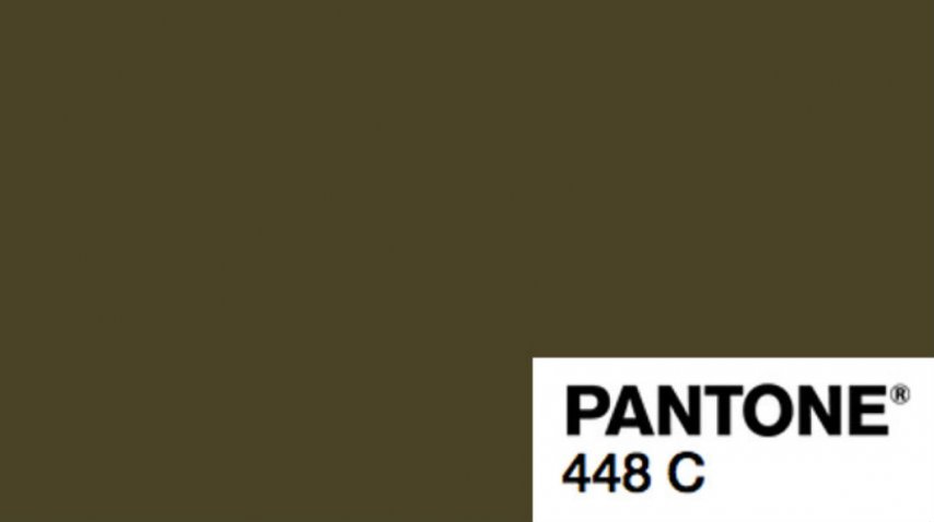 Color pantone 448C