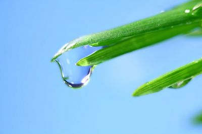 frescura: agua y verde