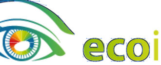 ecoimpresion vectorizacion