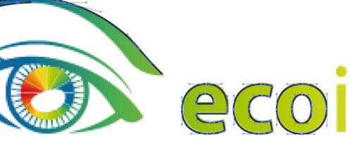 ecoimpresion vectorizacion