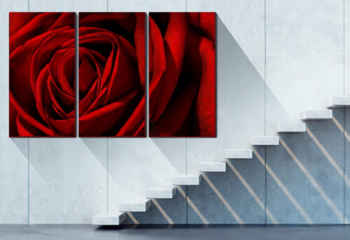 lienzos sobre bastidor