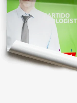 carteles elecciones 1.webp